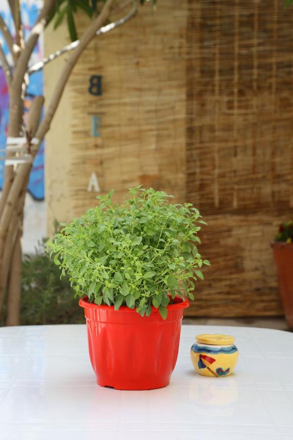 Babina'S Place-Traditional House In إرموبولّي المظهر الخارجي الصورة